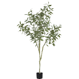 Dekoracija, Eucalypthus tree 195 cm