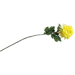 Dekoracija, Chrysanthemum 75 cm