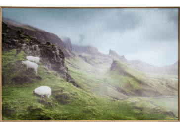 Ukrasna slika, Highlands 100x70